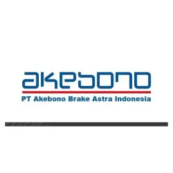 AKEBONO AN424K - ТОРМОЗНЫЕ КОЛОДКИ