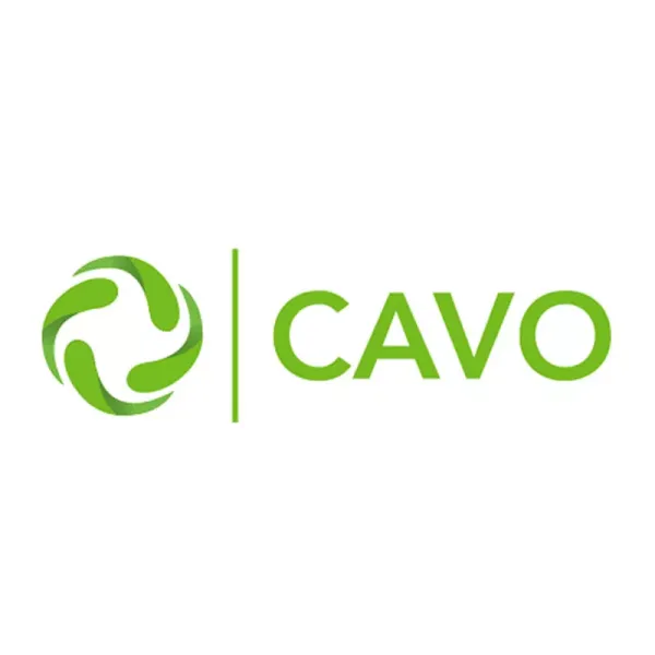 CAVO 1101637 - Трос сцепления CAVO 1101637 - Трос сцепления