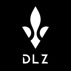 DLZ DLZ02V223 - Рычаг подвески