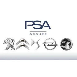 PEUGEOT / CITROEN 6460T9 - Крепеж