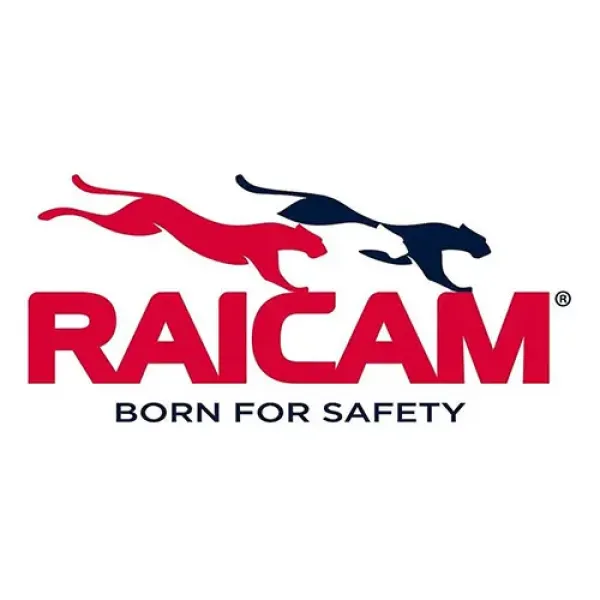 RAICAM 6490 - Колодки тормозные RAICAM 6490 - Колодки тормозные